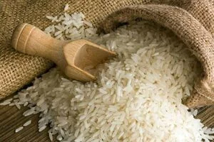 Rice exports
